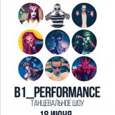 B1_performance